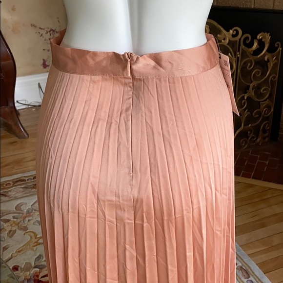 Zara salmon colored crystal pleated skirt - Picture 8 of 9
